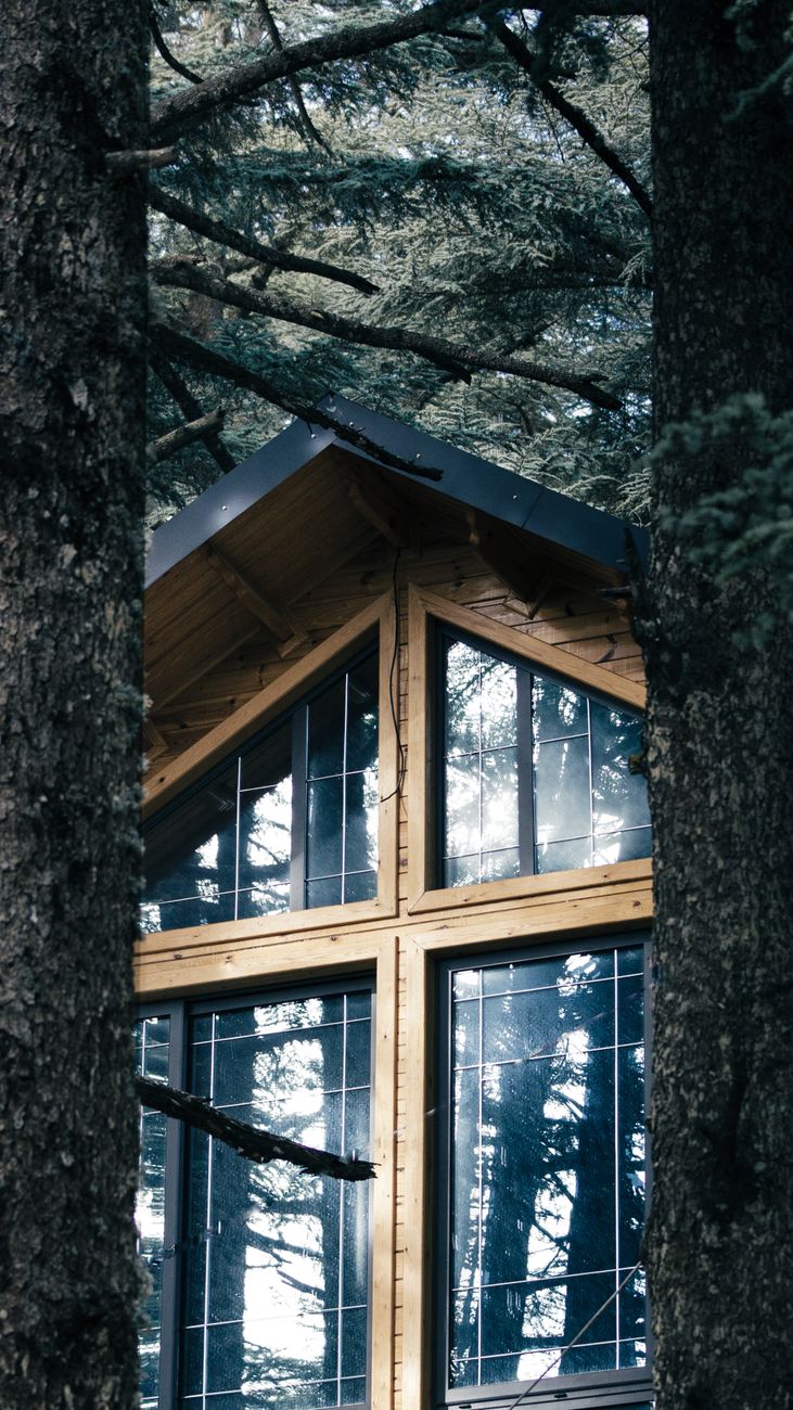 Stunning modern black cabins shrouded in towering green Vancouver Island cedar trees