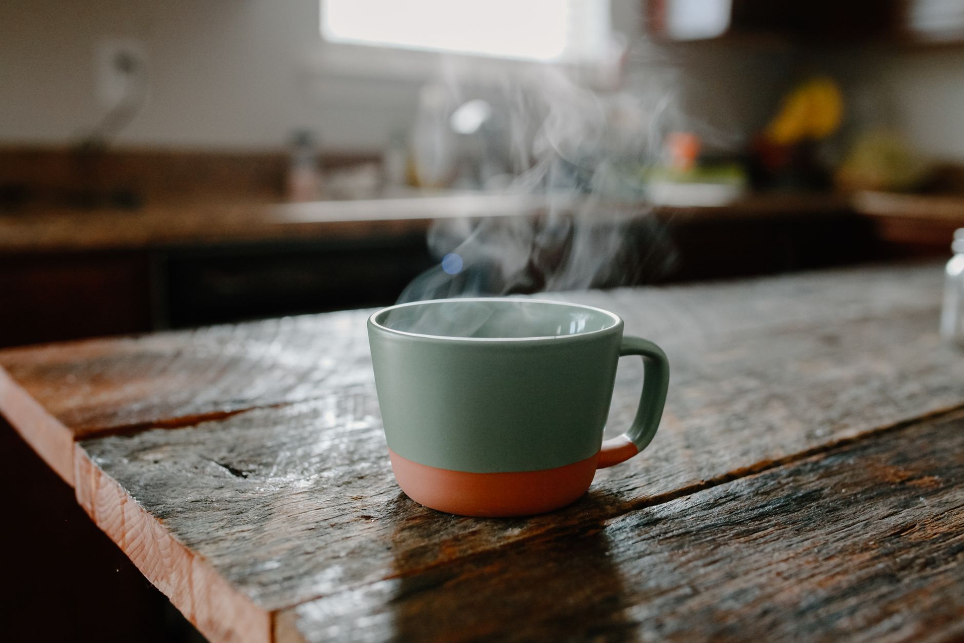 Sipping hot organic tea with heavy mist on Vancouver Island trees